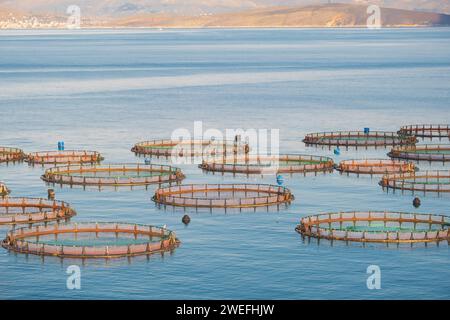 View of sea fish farm cages and fishing nets, farming dorado, sea bream and sea bass, process of feeding the fish a forage. Ionian sea, Greece. Commer Stock Photo