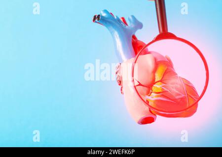 Medical mock-up of a heart under a magnifying glass on a blue background. Heart disease concept, inflammation of the heart muscle, myocardial infarcti Stock Photo