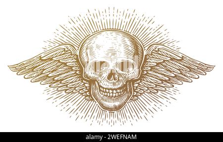 Wings and skull. Winged skeleton in old engraving style. Hand drawn vintage vector illustration Stock Vector