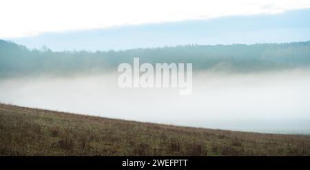 Trees emerge from a mist hanging over a valley Stock Photo
