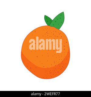 Hand Drawn Orange With Green Leaves Vector Illustration Stock Vector