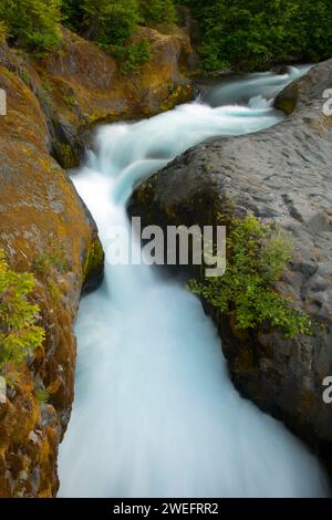 Lava Canyon along Lava Canyon Trail, Mt St Helens National Volcanic Monument, Washington Stock Photo