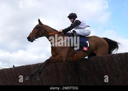 File photo dated 17-03-2022 of horse Bob Olinger, who could bid to continue his resurgence in the Chanelle Pharma Irish Champion Hurdle at Leopardstown on Sunday week. Issue date: Thursday January 25, 2024. Stock Photo