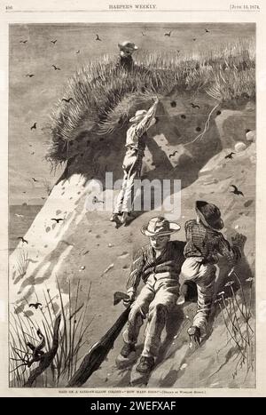 Raid on a Sand-Swallow Colony - 'How Many Eggs?'. Winslow Homer. 1874. Wood engraving. Stock Photo