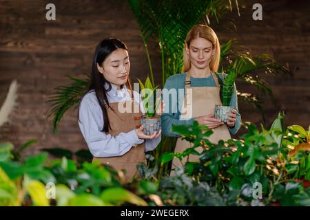 Asian and Caucasian female florists plant store owners working taking care of the plants in pot and doing inventory. Stock Photo