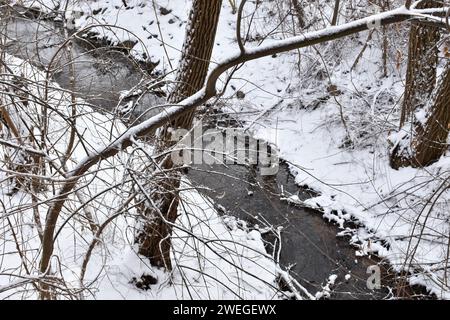 Clear stream flowing in winter countryside. Snowy tree branches, bent trees, dark water, snow covered brook banks. Winter landscape, scenic view. Stock Photo