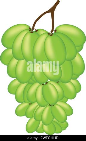 Savoring the vibrant burst of nature's jewels: Grapes that paint the palate with sweetness and elegance. 🍇✨ #GrapeMagic #WineNot Stock Vector