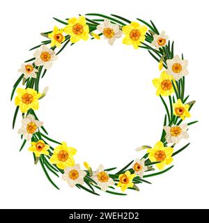 Empty circular floral wreath of daffodils isolated on white background. Stock Vector