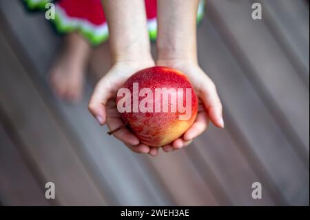 Overhead view of a girl holding beautiful ripe red apple in her cupped hands. Stock Photo