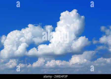 large white fair weather clouds, Cumulus humilis, in the blue sky Stock Photo
