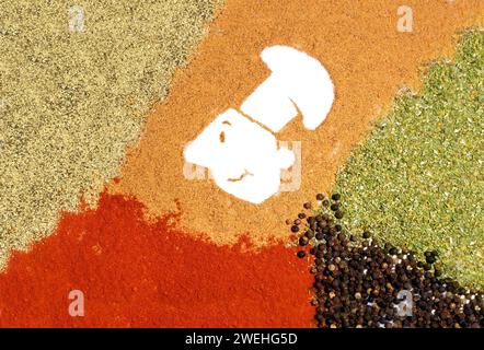 Cartoon of a chef with a chef's hat surrounded by various spices, such as red paprika, pepper and oregano Stock Photo