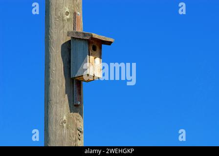 a simple wooden nesting box hangs on a wooden telephone pole, blue sky Stock Photo