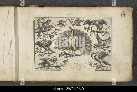 Pauw and other birds, 1596 - 1622 print A peacock in full glory, surrounded by at least nine other birds including two parrots or parakeets, a bird of prey, an owl and a swan. The print is part of an album.  paper engraving birds. ornamental birds: peacock. ornamental birds: parakeet. ornamental birds: parrot. water-birds: swan. owls. predatory birds Stock Photo