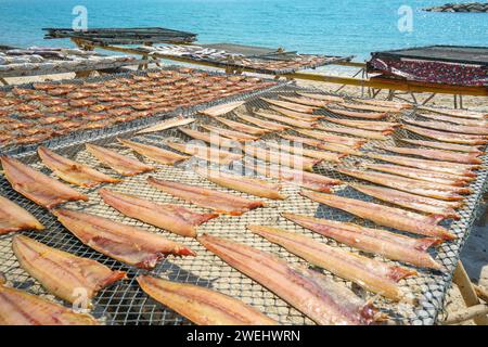 Sun-dried and deep-fried fish in a quaint fishing village brings to life the coastal tradition of transforming freshly caught fish into delectable del Stock Photo