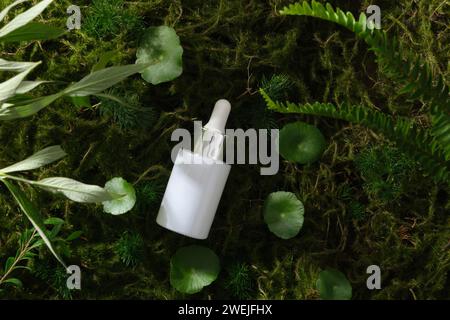 A white serum bottle with pipette unlabeled placed on forest background with moss, centella, fern and green leaf. Natural organic cosmetic concept. Mo Stock Photo
