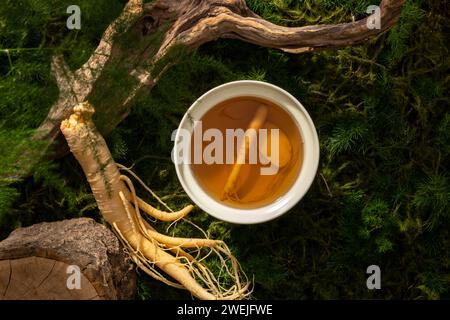 A bowl of tonic water from ginseng root on forest background, moss, leaves and dried twigs. Scene for advertising product of ginseng extract with natu Stock Photo