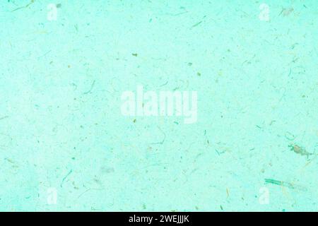 Green handmade mulberry paper texture as background. Stock Photo