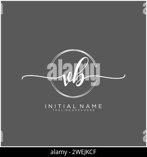 VB Initial handwriting logo with circle Stock Vector