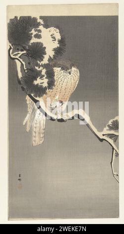 Woddcut A bird sitting on a branch. Woodcut, 18 Stock Photo - Alamy