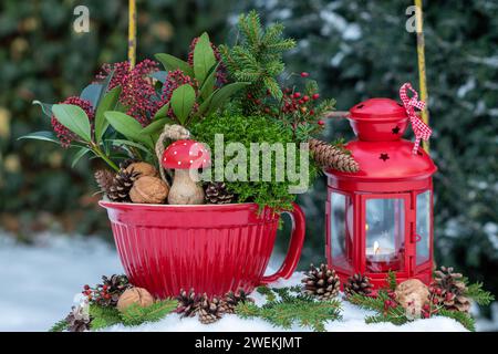 new year decoration with wooden fly agaric, skimmia and hebe in porcelain pot and vintage lantern in winter garden Stock Photo