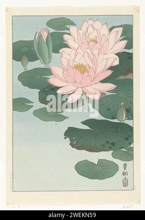 Flowering Water Lily, Ohara Koson, 1920 - 1930 print Pink water lilies. Two flourishing, three in the button.  paper color woodcut flowers: water-lily Stock Photo