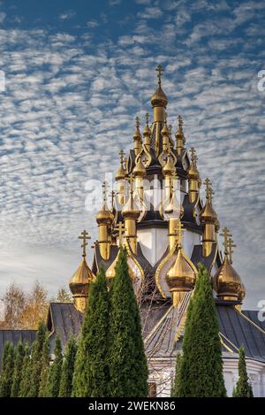 Dima va Anya jinsiy aloqa video