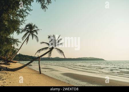 Beautiful beach with palms and turquoise sea in Koh Kood island, Thailand. Tropical sea beach with sand and coconut tree clear blue sky background. Su Stock Photo