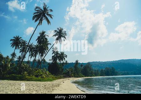 Beautiful beach with palms and turquoise sea in Koh Kood island, Thailand. Tropical sea beach with sand and coconut tree clear blue sky background. Su Stock Photo