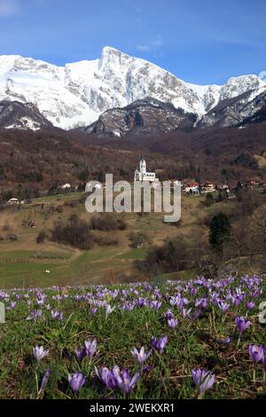 Church Of The Sacred Heart In Dreznica - Kobarid in Springtime with Flowers and Snow Stock Photo