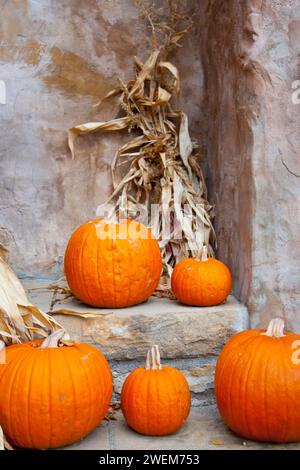 Pumpkin Decorations on stairs Stock Photo