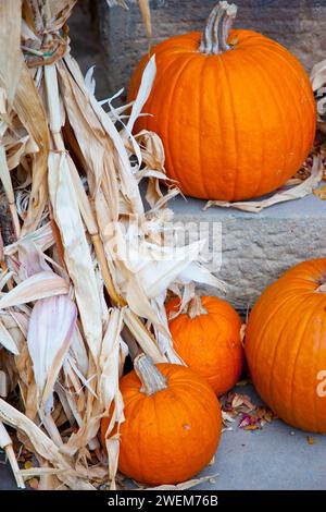Pumpkin Decorations on stairs Stock Photo
