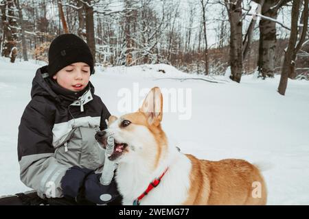 Boy and corgi dog playing with an icicle in the village in winter Stock Photo