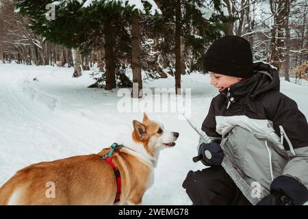 Boy and corgi dog playing with an icicle in the village in winter Stock Photo