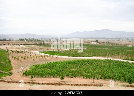 Cloudy Day Landscape in a Vineyard in Valle de Guadalupe, Mexico Stock Photo