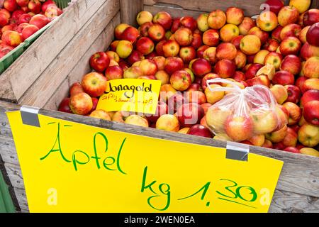 Apples on offer, apple tree (Malus domestica), fruit, market stall, folk festival Kalter Markt, Kaale Maeaert, fair, funfair, fairground, Ortenberg Stock Photo