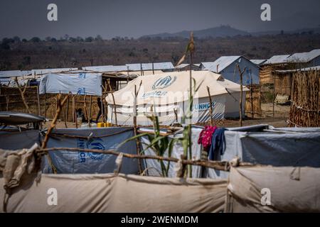 Juba, South Sudan. 26th Jan, 2024. The Gorom refugee settlement during Foreign Minister Baerbock's visit. Credit: Michael Kappeler/dpa/Alamy Live News Stock Photo