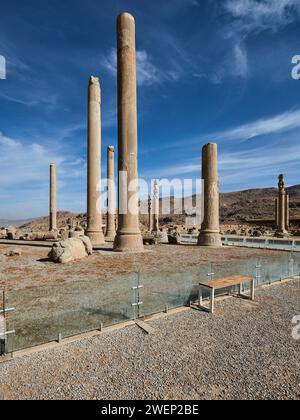 Remaining columns of the ruined Apadana Palace in Persepolis, ceremonial capital of the Achaemenid Empire (550–330 BC). Fars Province, Iran. Stock Photo