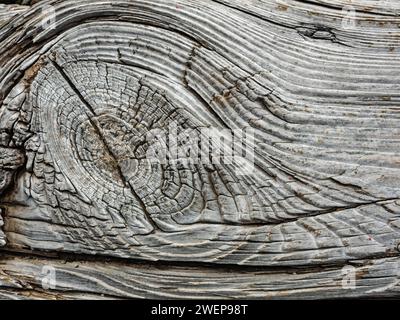 Close-up of the grain of the wood from an old tree Stock Photo