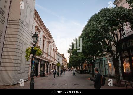 Picture of the main pedestrian street of Pecs, Kiraly utca street, at dusk, in Pecs, Hungary. Pécs is the fifth largest city in Hungary, on the slopes Stock Photo