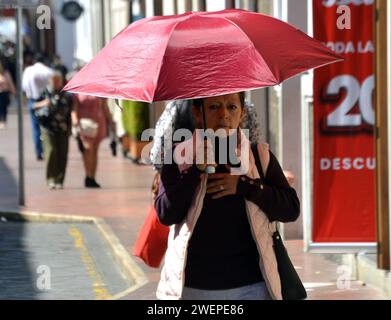 CUENCA-OLA DE CALOR Cuenca,Ecuador 26 de enero de 2024 El Instituto Nacional de Meteorologia e Hidrologia Inamhi prevÃ que hasta finales de enero de 2024 en Cuenca, lla temperatura supere los 25 grados Celsius ÂC,Los niveles de radiacion ultravioleta muy altos y extremadamente altos se registran entre las 10:00 y 15:00. foto Boris Romoleroux/API. WEA-CUENCA-OLADECALOR-7095cfaaf74d0c2ee30c46bda4ad46f6 *** CUENCA HEAT WAVE Cuenca,Ecuador January 26, 2024 The National Institute of Meteorology and Hydrology Inamhi predicts that until the end of January 2024 in Cuenca, the temperature will exceed 2 Stock Photo