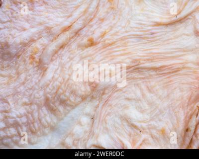 Skin Stock Photo