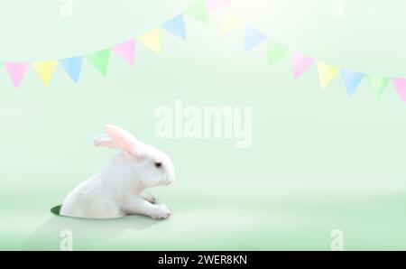 Cute Easter bunny on blue background. Rabbit looking out of a hole. Spring season greeting. Easter egg hunt invitation. Stock Photo