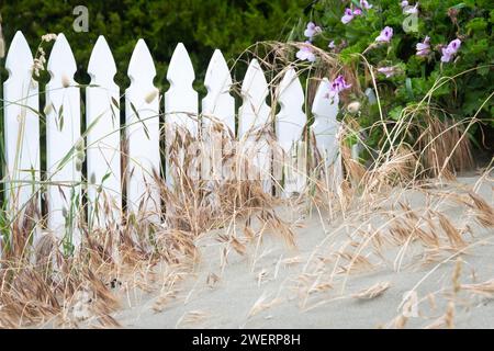 Sand built up against front fence, near beach at Seatoun, Wellington, North Island, New Zealand Stock Photo