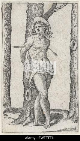 Saint Sebastiaan tied to tree with arrows in body, Marcantonio Raimondi, 1500 - 1527 print   paper engraving the martyr Sebastian; possible attributes: arrow(s), bow, tree-trunk Stock Photo