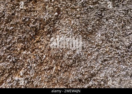 Texture of a wooden target being shot at with a bow, close-up of the back of the target Stock Photo