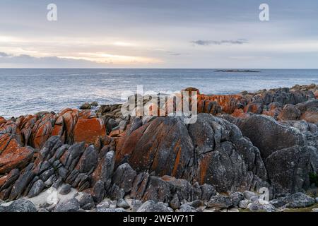 Larapuna or the Bay of Fires and Mount William National Park,Tasmania, Australia Stock Photo
