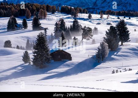 Aerial view on hilly agricultural countryside with wooden huts, trees and snow-covered pastures at Seiser Alm in winter. Stock Photo