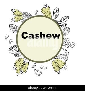 Hand drawn cashew background - banner with round shape. Vector illustration can used for superfood products, cosmetic background.  Stock Vector