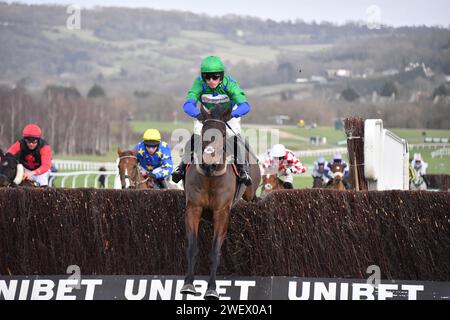 Cheltenham, UK. 27th January 2024. Cheltenham Racecource, UK. Ginnys Destiny jumps the last safely before winning the 12.40 at Cheltenham. Harry Cobden rides for Paul Nicholls Stock Photo