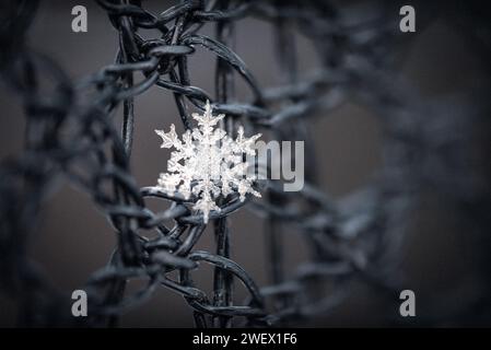 A macro shot of a beautiful snowflake on a metal fence Stock Photo